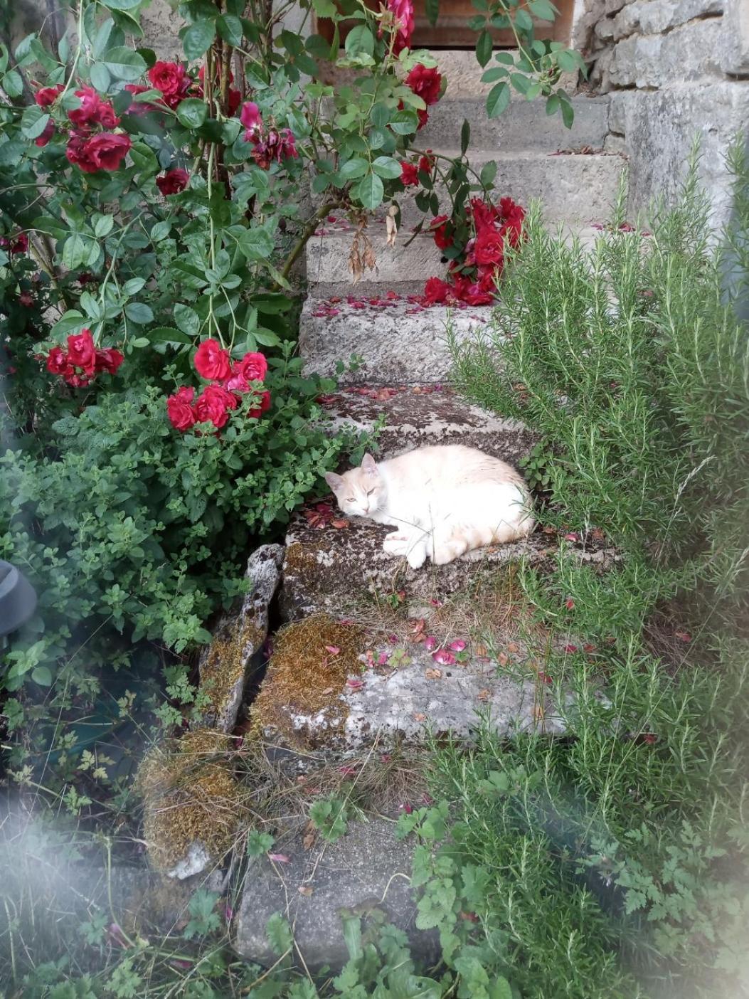 Gite Meuble 6 Personnes 2 Etoiles Haute Cote D'Or Proche Des Merveilles Touristiques Saint-Marc-sur-Seine Esterno foto